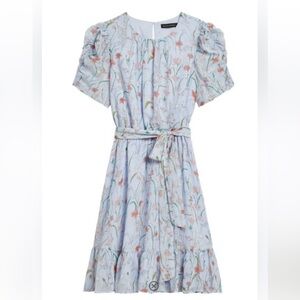 Banana Republic Floral Puff Sleeve Mini Dress - Size 4 Petite